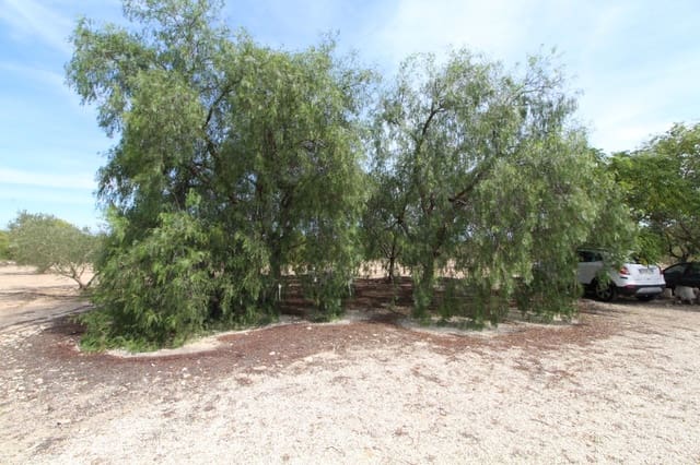 Undeveloped Land for sale in Elche / Elx - € 79,000 (Ref: 7767669)