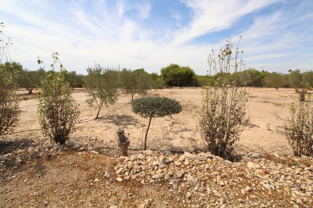 Undeveloped Land for sale in Elche / Elx - € 79,000 (Ref: 7767669)