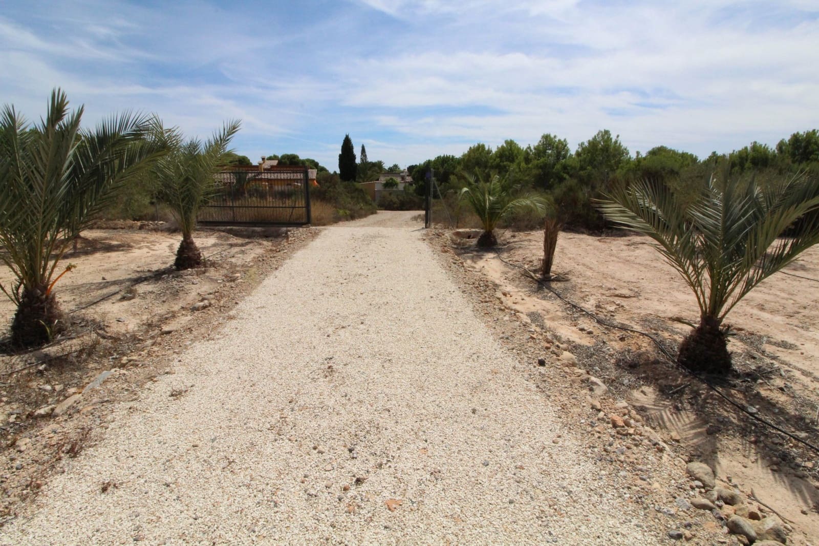 Undeveloped Land for sale in Elche / Elx - € 79,000 (Ref: 7767669)