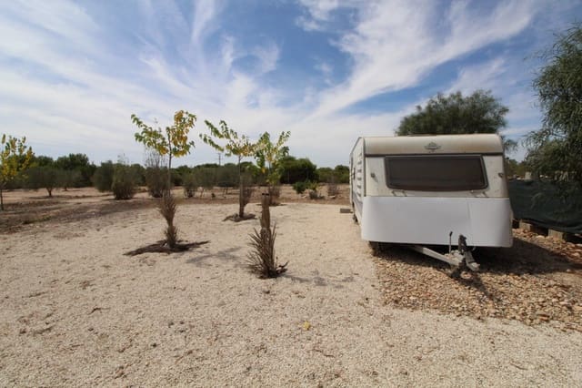 Rakentamaton maa myytävänä paikassa Elche / Elx - 79 000 € (Ref: 7767669)