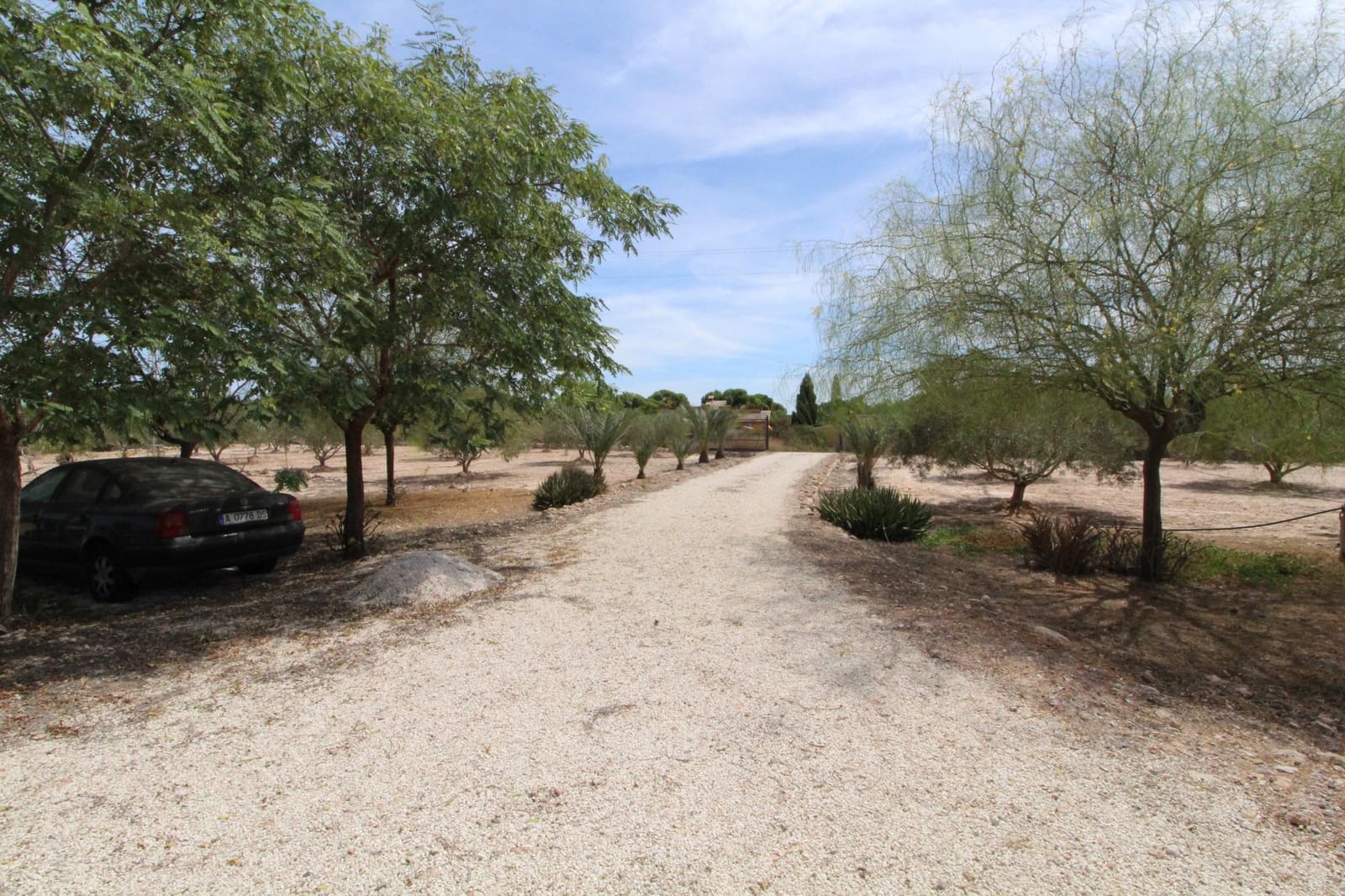Undeveloped Land for sale in Elche / Elx - € 79,000 (Ref: 7767669)