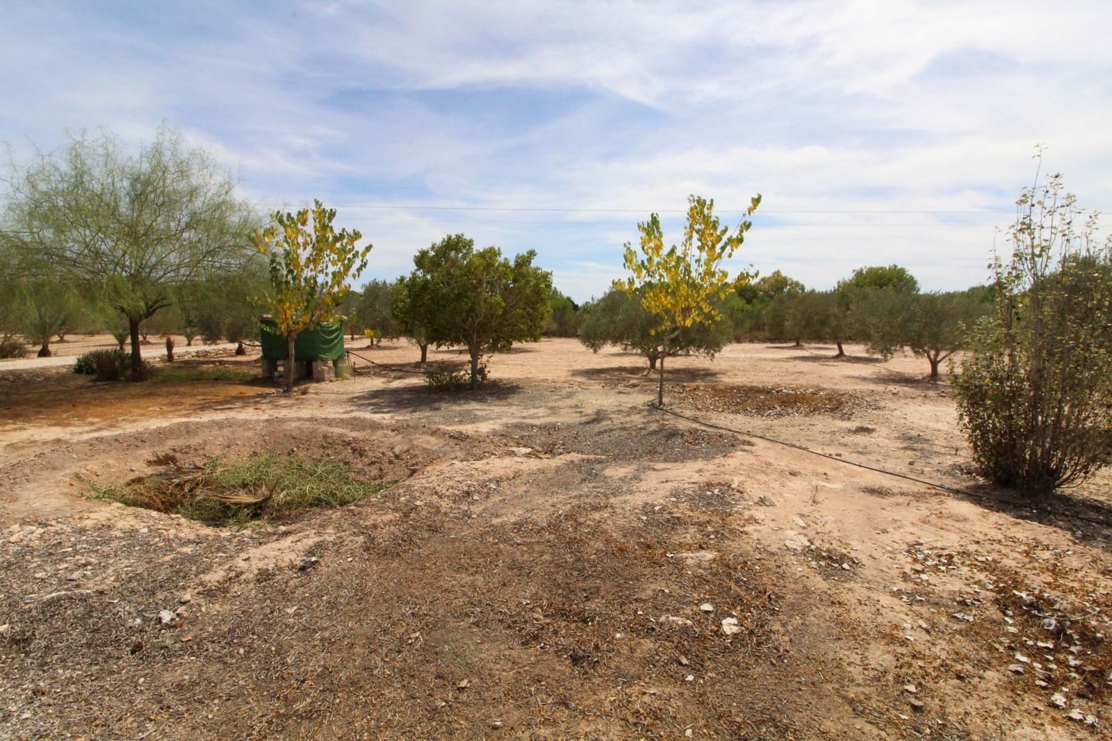 Undeveloped Land for sale in Elche / Elx - € 79,000 (Ref: 7767669)