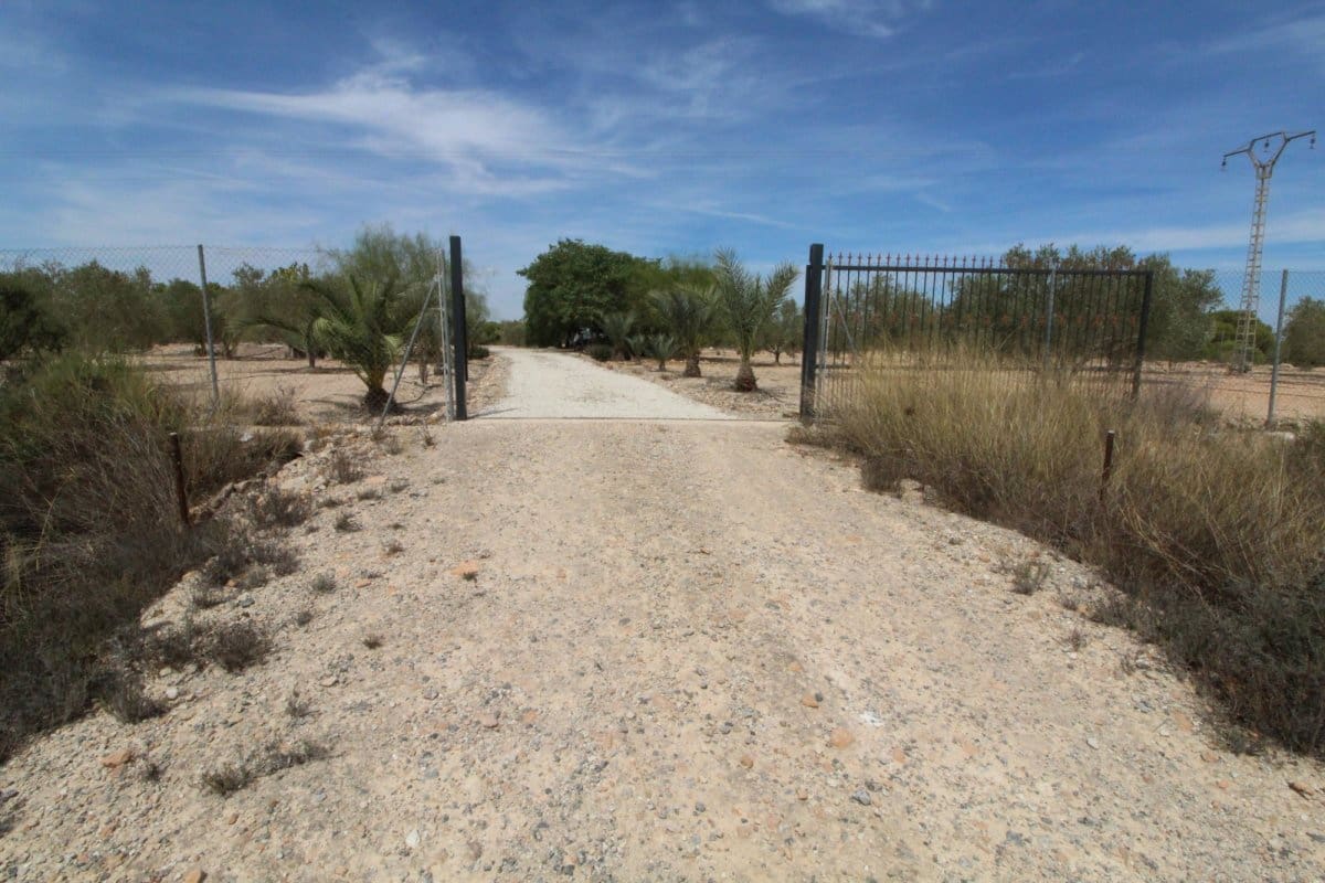 Terre non Aménagée à vendre à Elche / Elx - 79 000 € (Ref: 7767669)