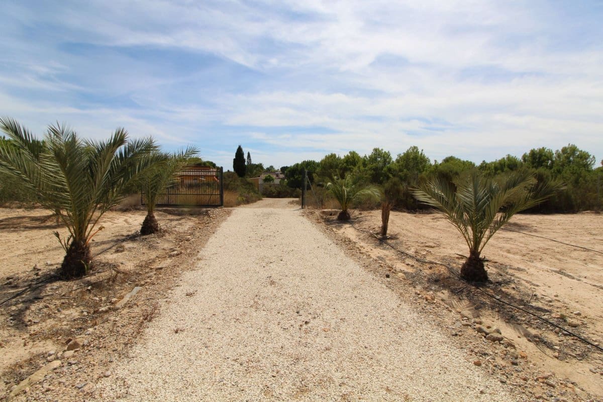 Terre non Aménagée à vendre à Elche / Elx - 79 000 € (Ref: 7767669)