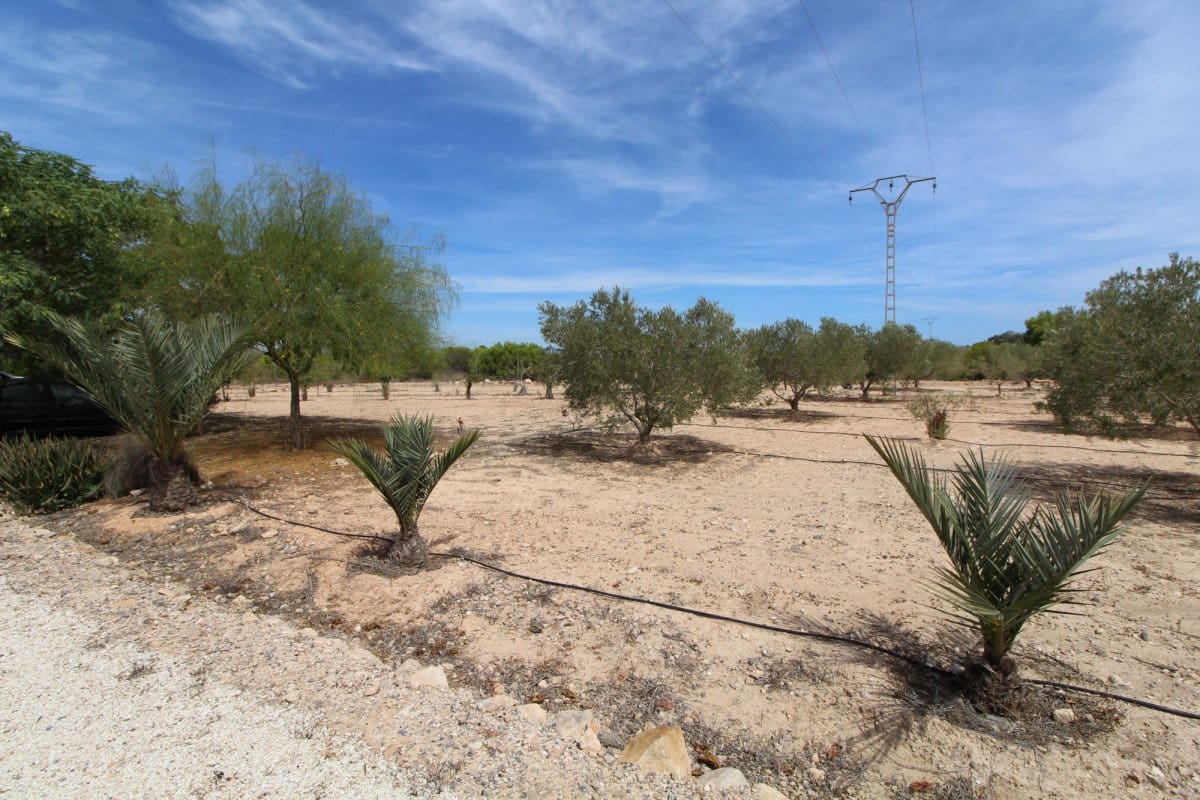 Terre non Aménagée à vendre à Elche / Elx - 79 000 € (Ref: 7767669)