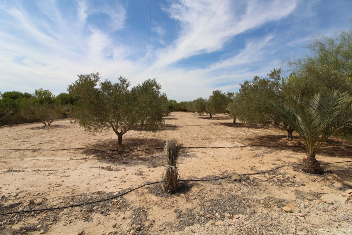 Terre non Aménagée à vendre à Elche / Elx - 79 000 € (Ref: 7767669)