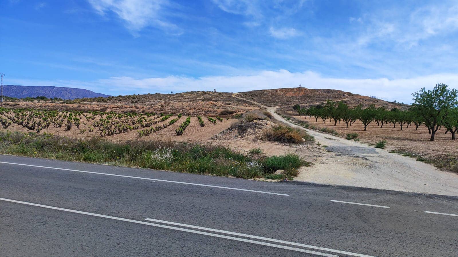 Mark till salu i Pinoso - 42 000 € (Ref: 8509201)