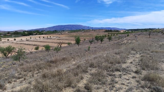 Mark till salu i Pinoso - 42 000 € (Ref: 8509201)