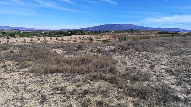 Mark till salu i Pinoso - 42 000 € (Ref: 8509201)