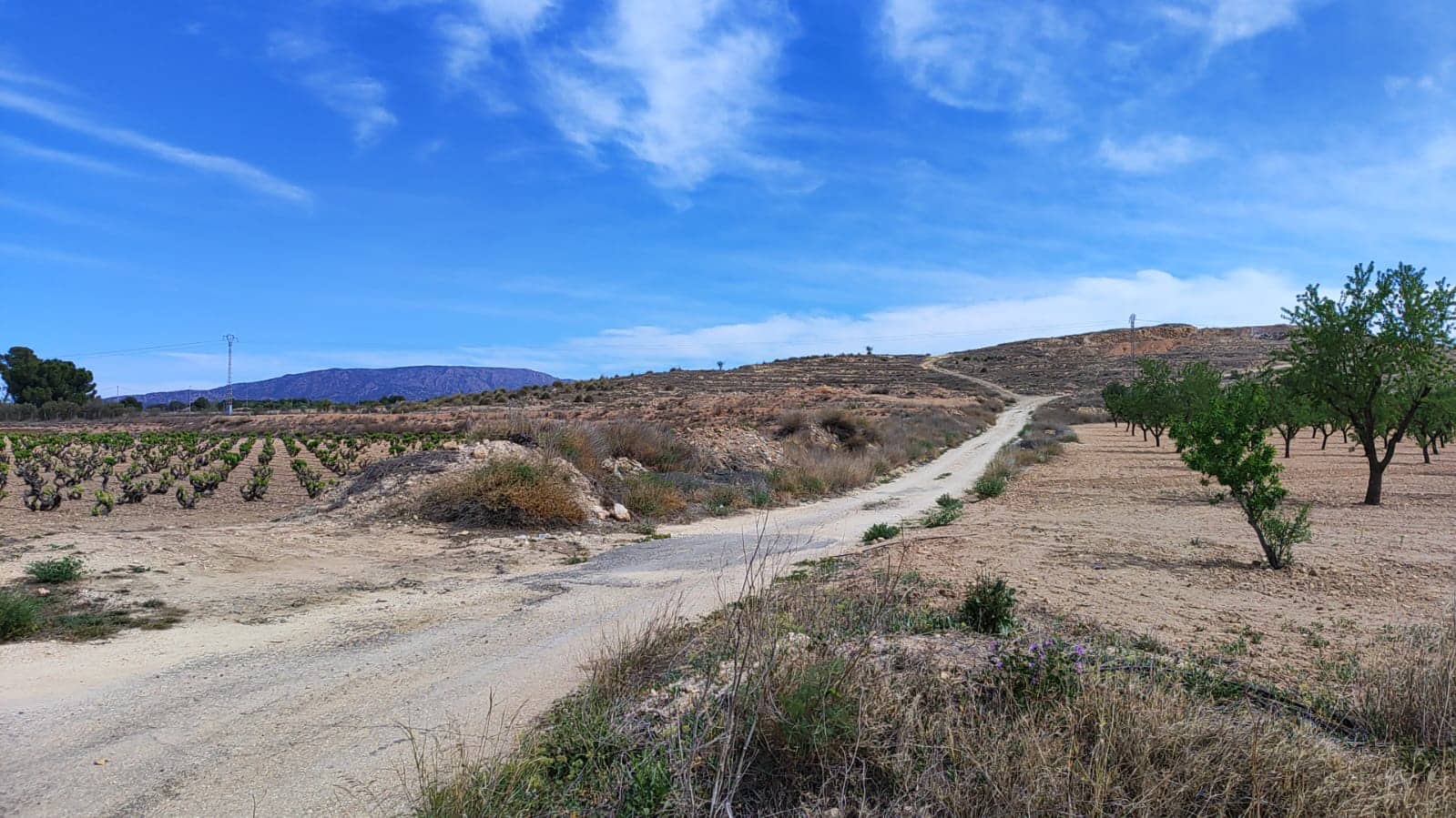 Undeveloped Land for sale in Pinoso - € 42,000 (Ref: 8509201)