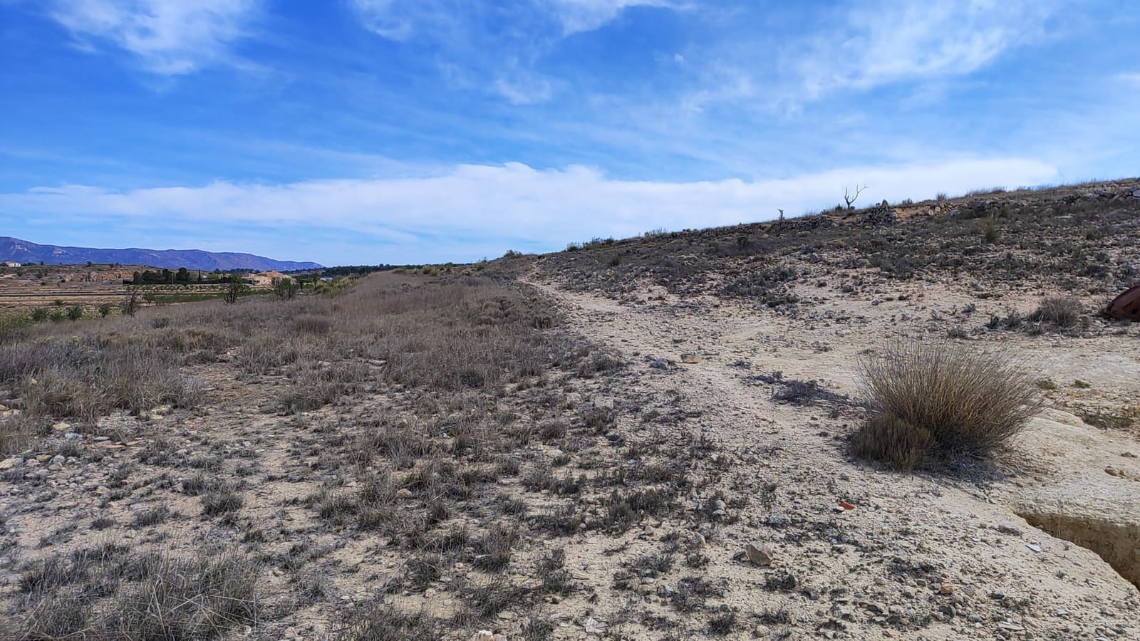 Undeveloped Land for sale in Pinoso - € 42,000 (Ref: 8509201)