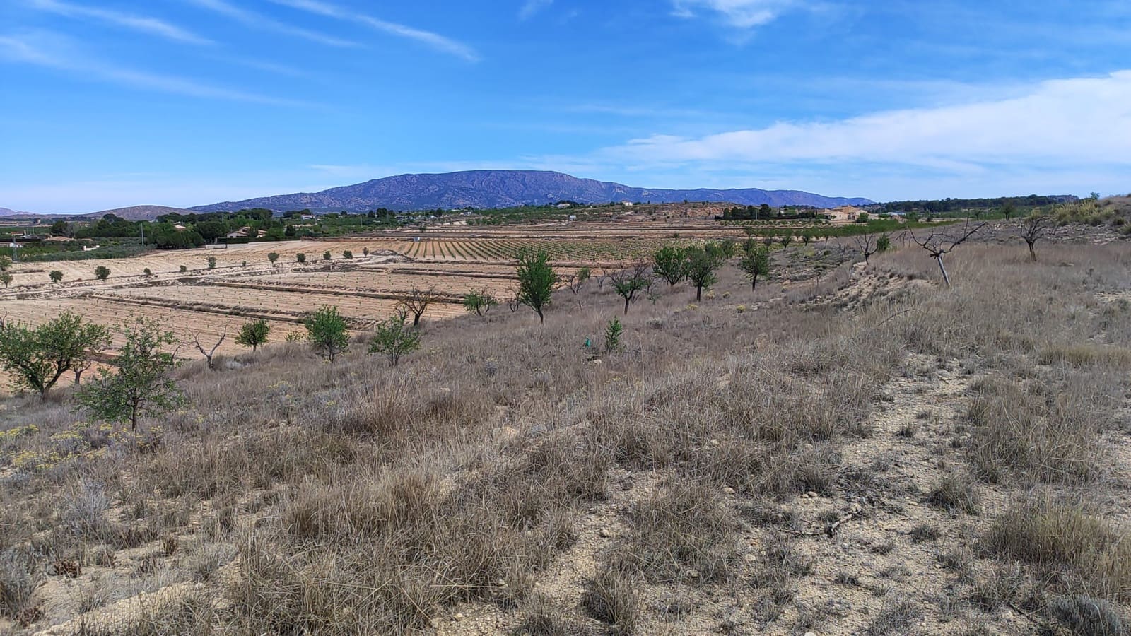 Undeveloped Land for sale in Pinoso - € 42,000 (Ref: 8509201)