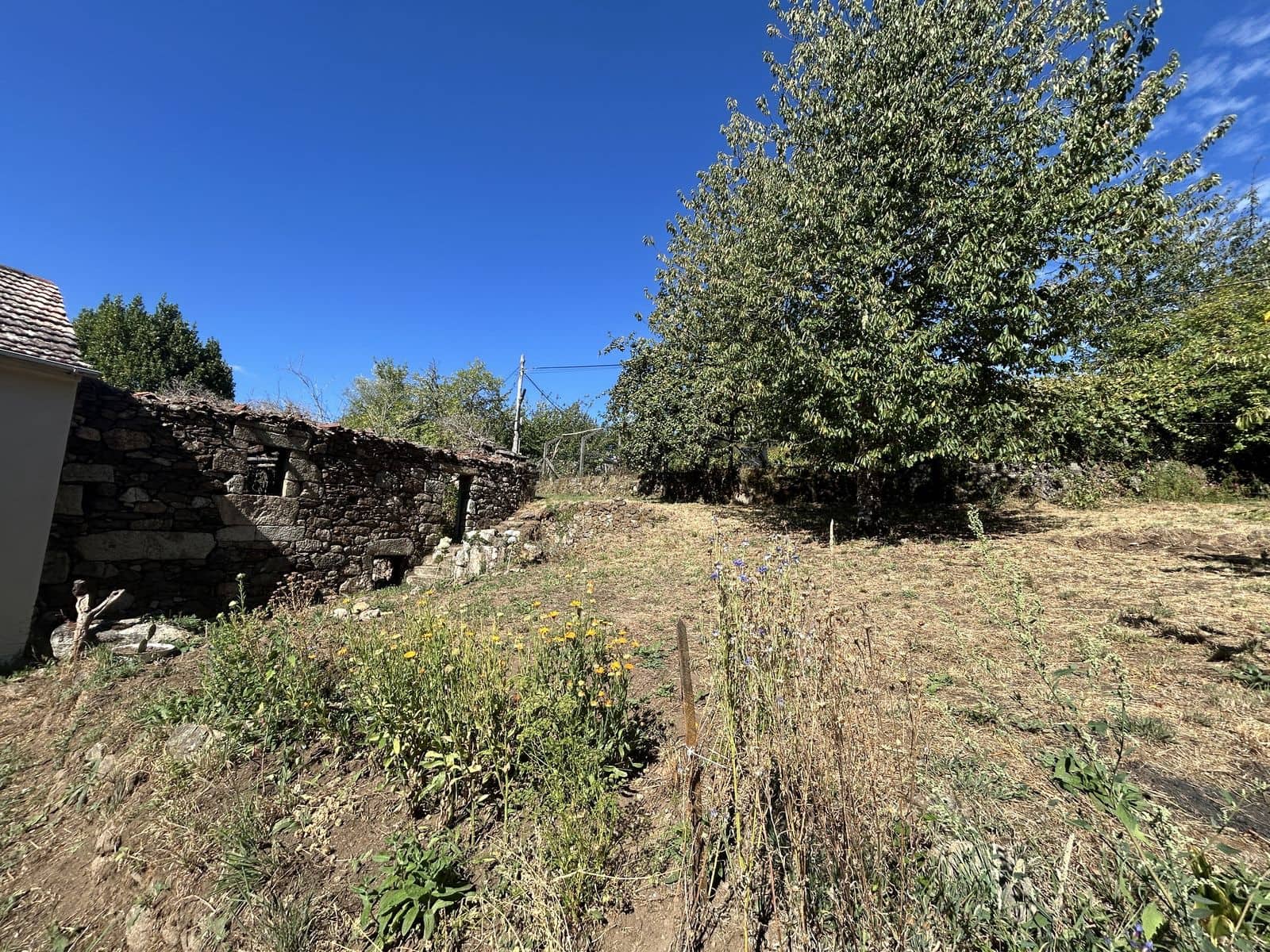 4 quarto Quinta/Casa Rural para venda em Gomesende - 75 000 € (Ref: 10009661)