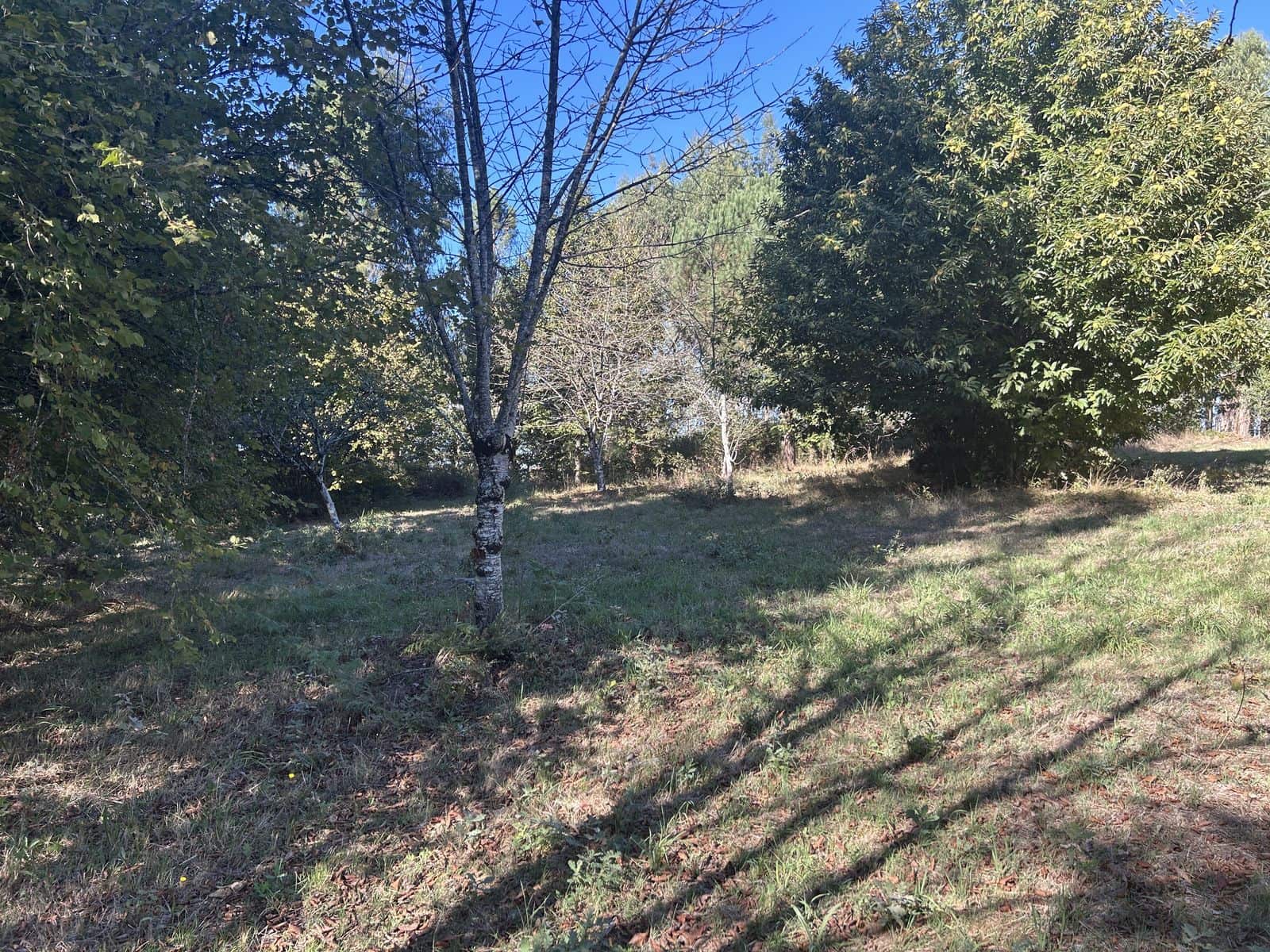 5 bedroom Finca/Country House for sale in Antas de Ulla with garage - € 270,000 (Ref: 10035745)