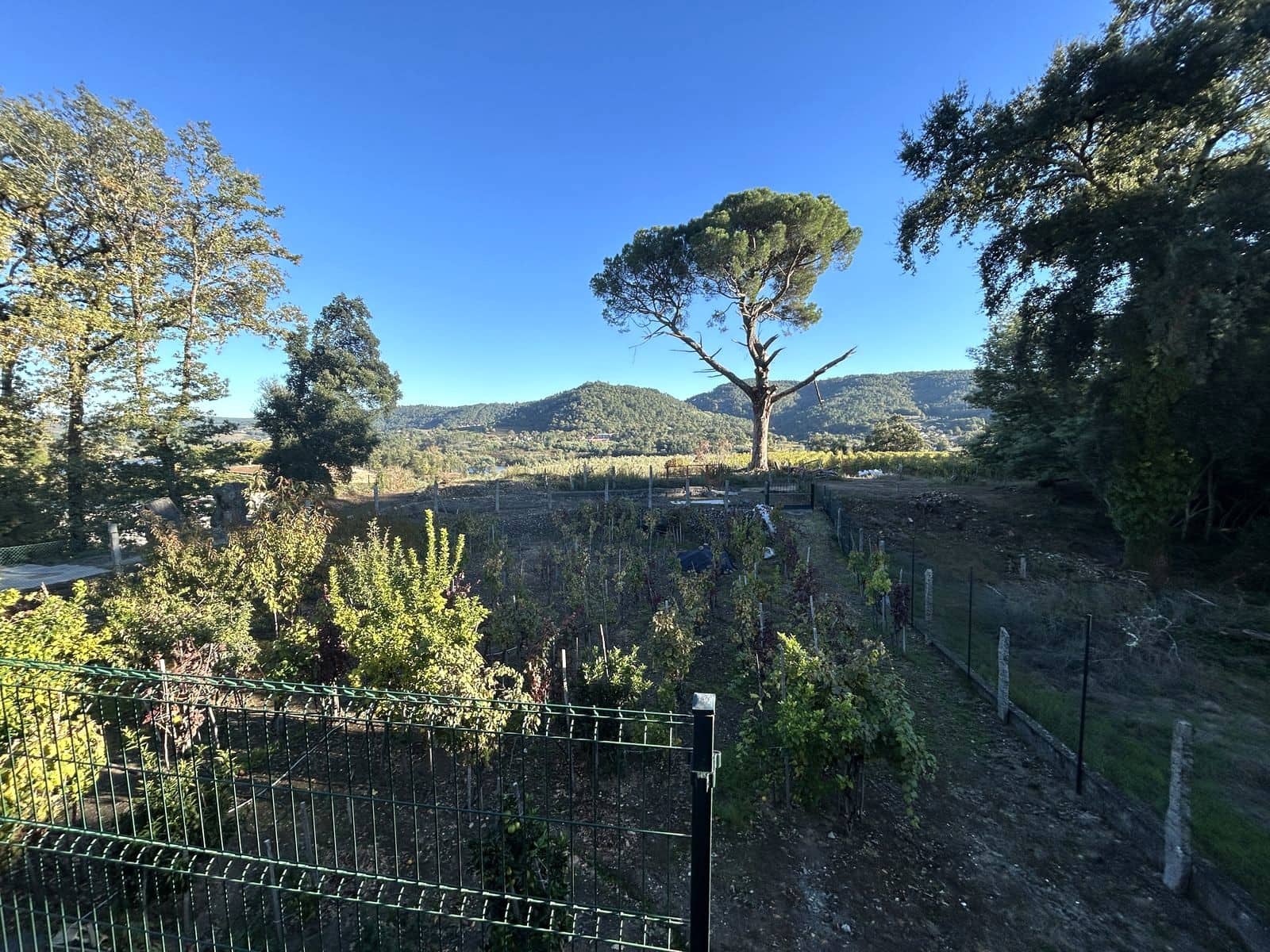 4 soverom Finca/Herregård til salgs i Cenlle med garasje - € 250 000 (Ref: 10183427)