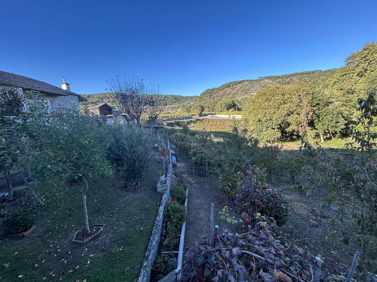 4 soverom Finca/Herregård til salgs i Cenlle med garasje - € 250 000 (Ref: 10183427)