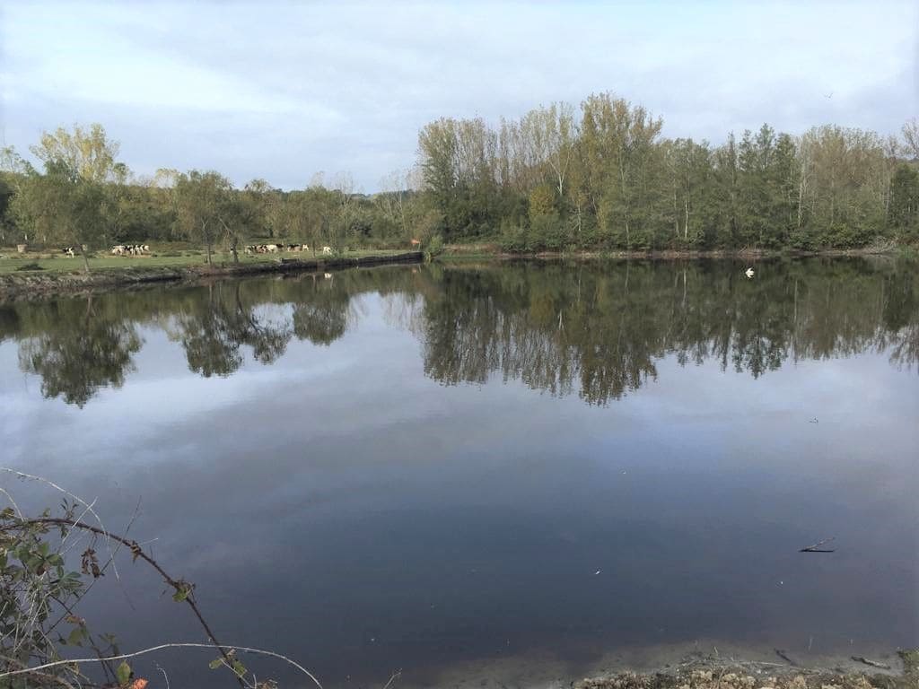 10 soveværelse Finca/Landehus til salg i Monforte de Lemos - € 395.000 (Ref: 3195362)