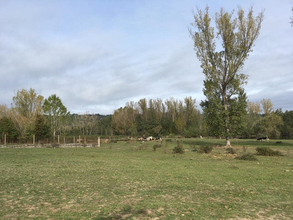 10 sovrum Finca/Hus på landet till salu i Monforte de Lemos - 395 000 € (Ref: 3195362)