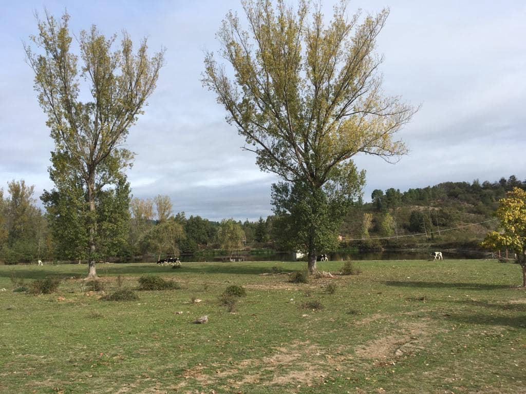 10 sovrum Finca/Hus på landet till salu i Monforte de Lemos - 395 000 € (Ref: 3195362)