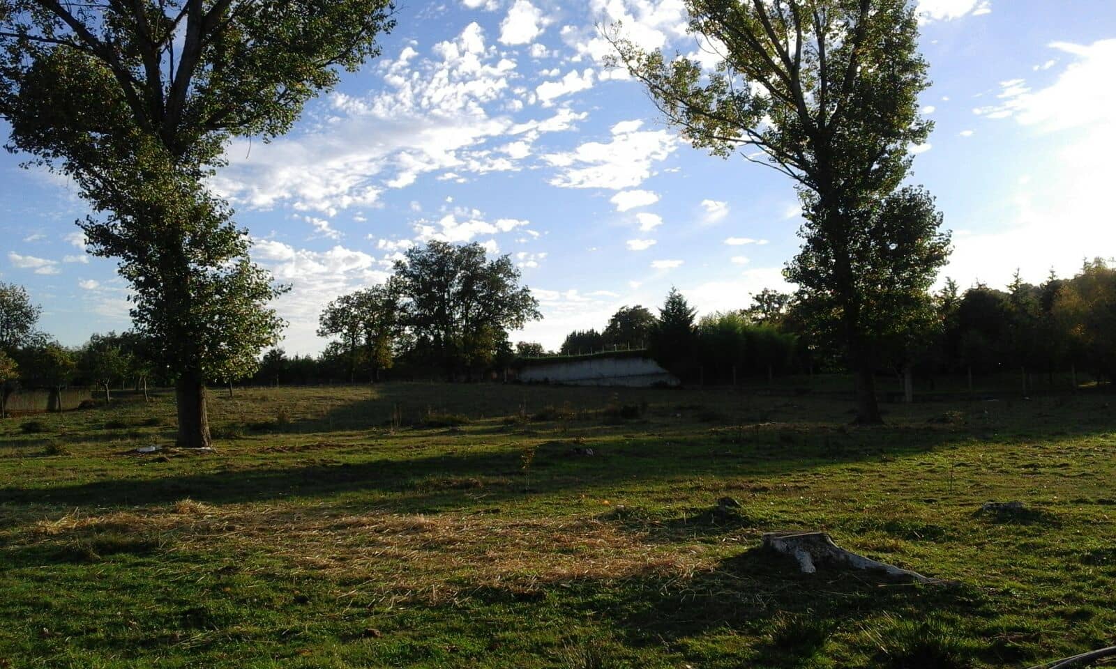 10 sovrum Finca/Hus på landet till salu i Monforte de Lemos - 395 000 € (Ref: 3195362)