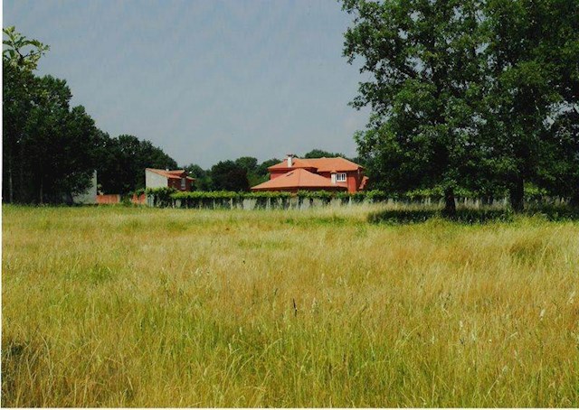 10 sovrum Finca/Hus på landet till salu i Monforte de Lemos - 395 000 € (Ref: 3195362)