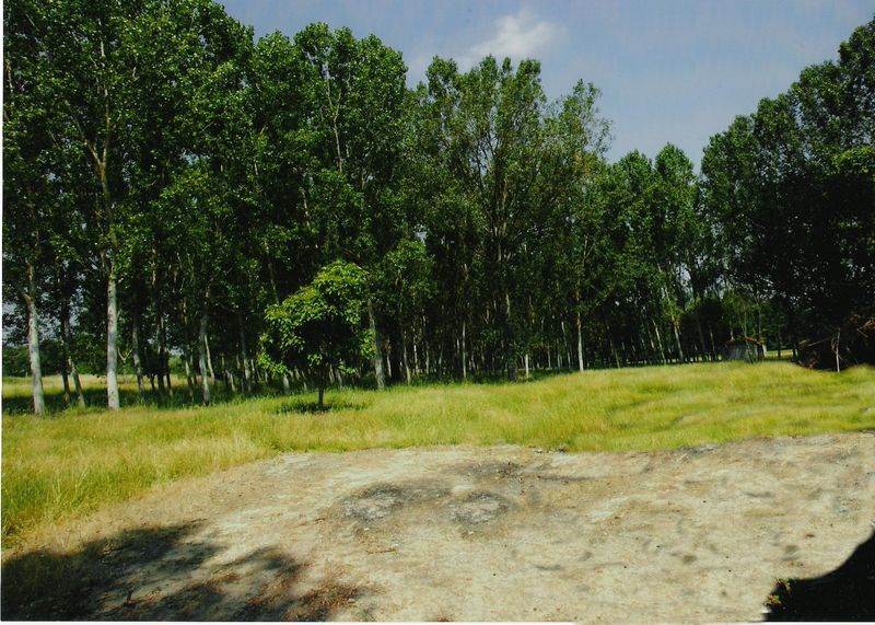 10 soveværelse Finca/Landehus til salg i Monforte de Lemos - € 395.000 (Ref: 3195362)