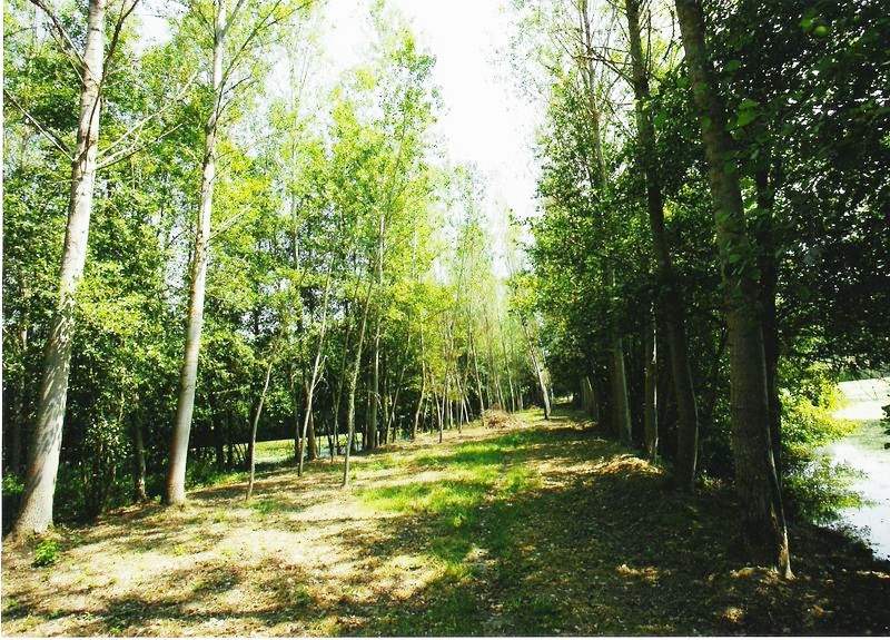 10 soveværelse Finca/Landehus til salg i Monforte de Lemos - € 395.000 (Ref: 3195362)