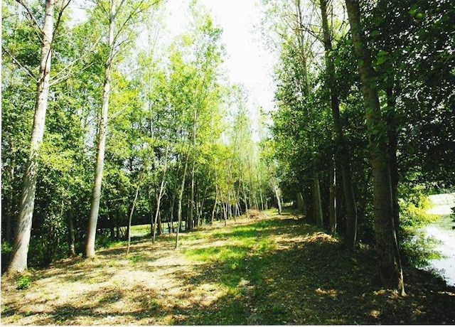 10 sovrum Finca/Hus på landet till salu i Monforte de Lemos - 395 000 € (Ref: 3195362)