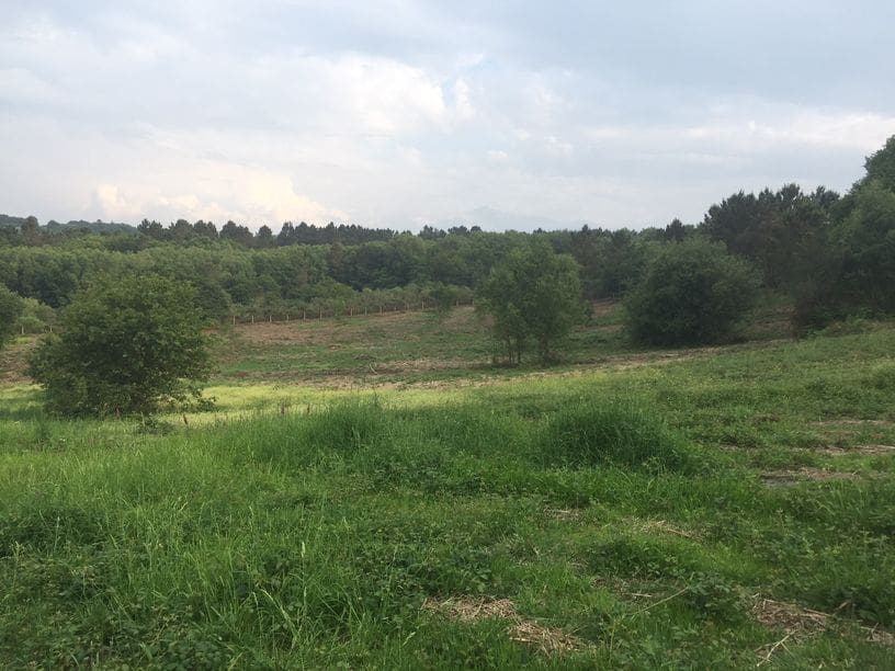 3 soveværelse Finca/Landehus til salg i A Peroxa - € 150.000 (Ref: 3224127)