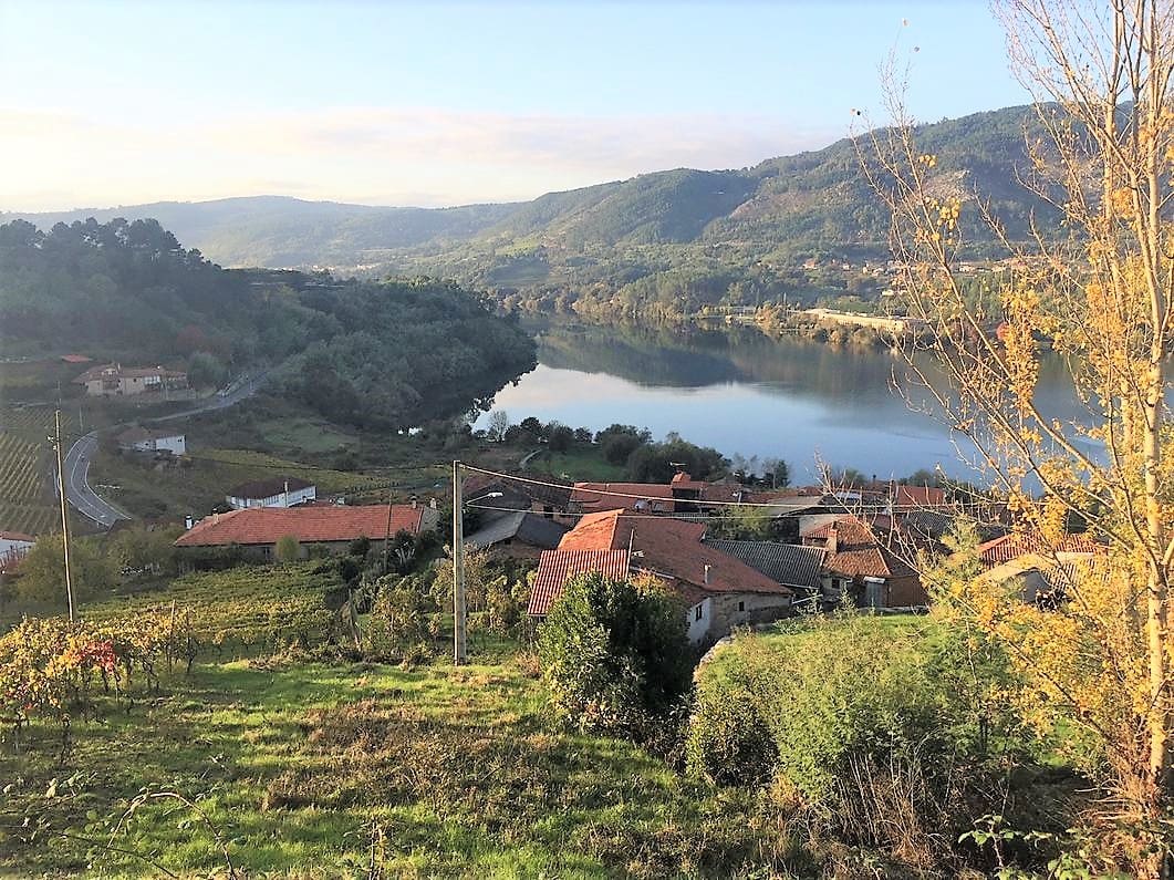 5 soveværelse Finca/Landehus til salg i Castrelo de Mino med garage - € 240.000 (Ref: 6700985)