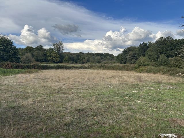 4 soverom Finca/Herregård til salgs i Pantón - € 72 000 (Ref: 7198787)
