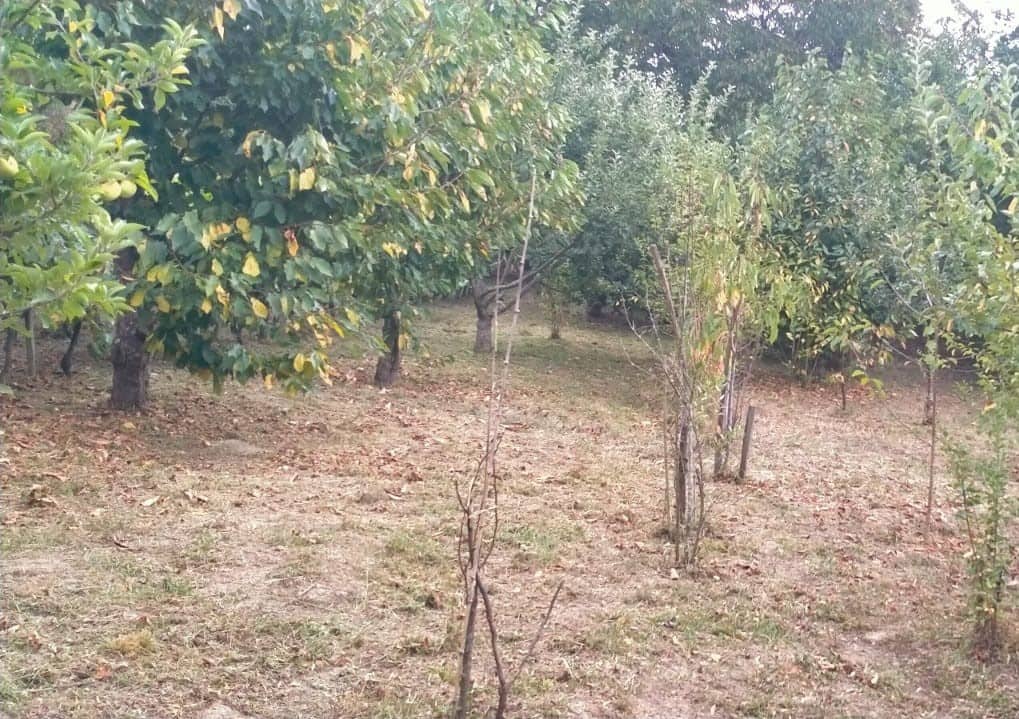 4 soveværelse Finca/Landehus til salg i O Savinao - € 44.000 (Ref: 7760205)