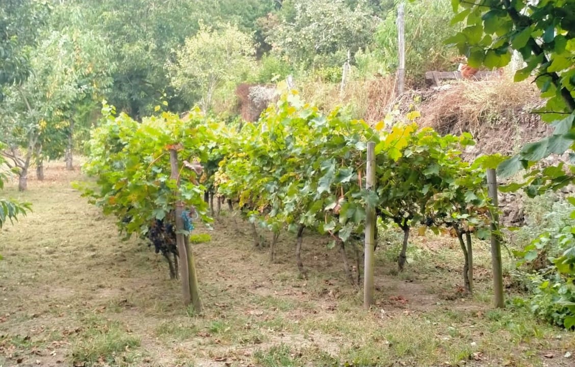 4 soveværelse Finca/Landehus til salg i O Savinao - € 44.000 (Ref: 7760205)