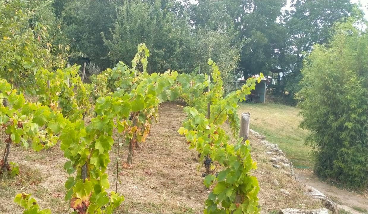 4 soveværelse Finca/Landehus til salg i O Savinao - € 44.000 (Ref: 7760205)