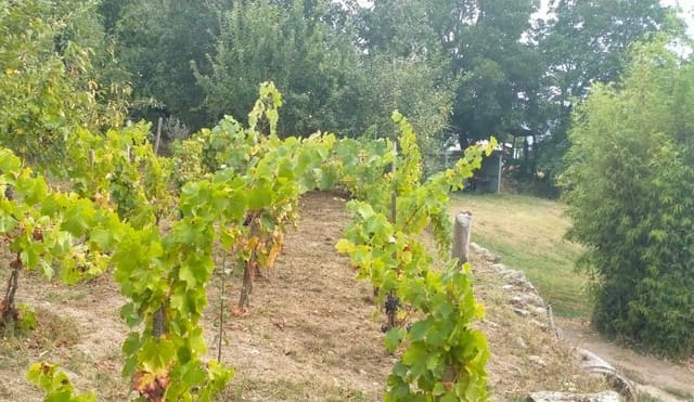 4 soveværelse Finca/Landehus til salg i O Saviñao - € 44.000 (Ref: 7760205)