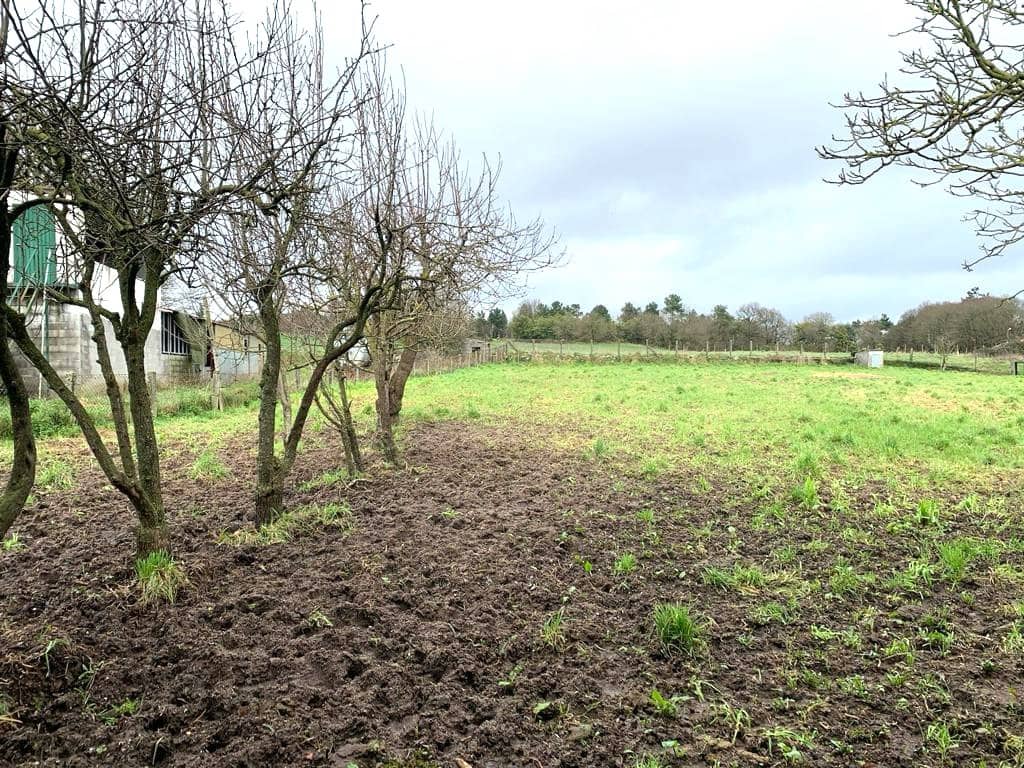 4 sovrum Finca/Hus på landet till salu i Chantada - 250 000 € (Ref: 8113234)