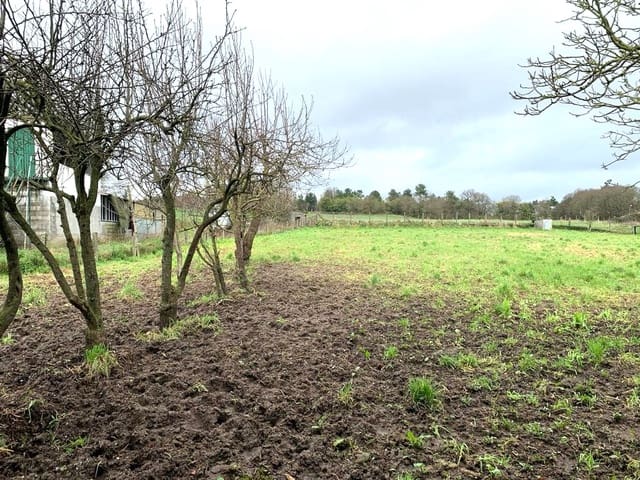 4 sovrum Finca/Hus på landet till salu i Chantada - 250 000 € (Ref: 8113234)