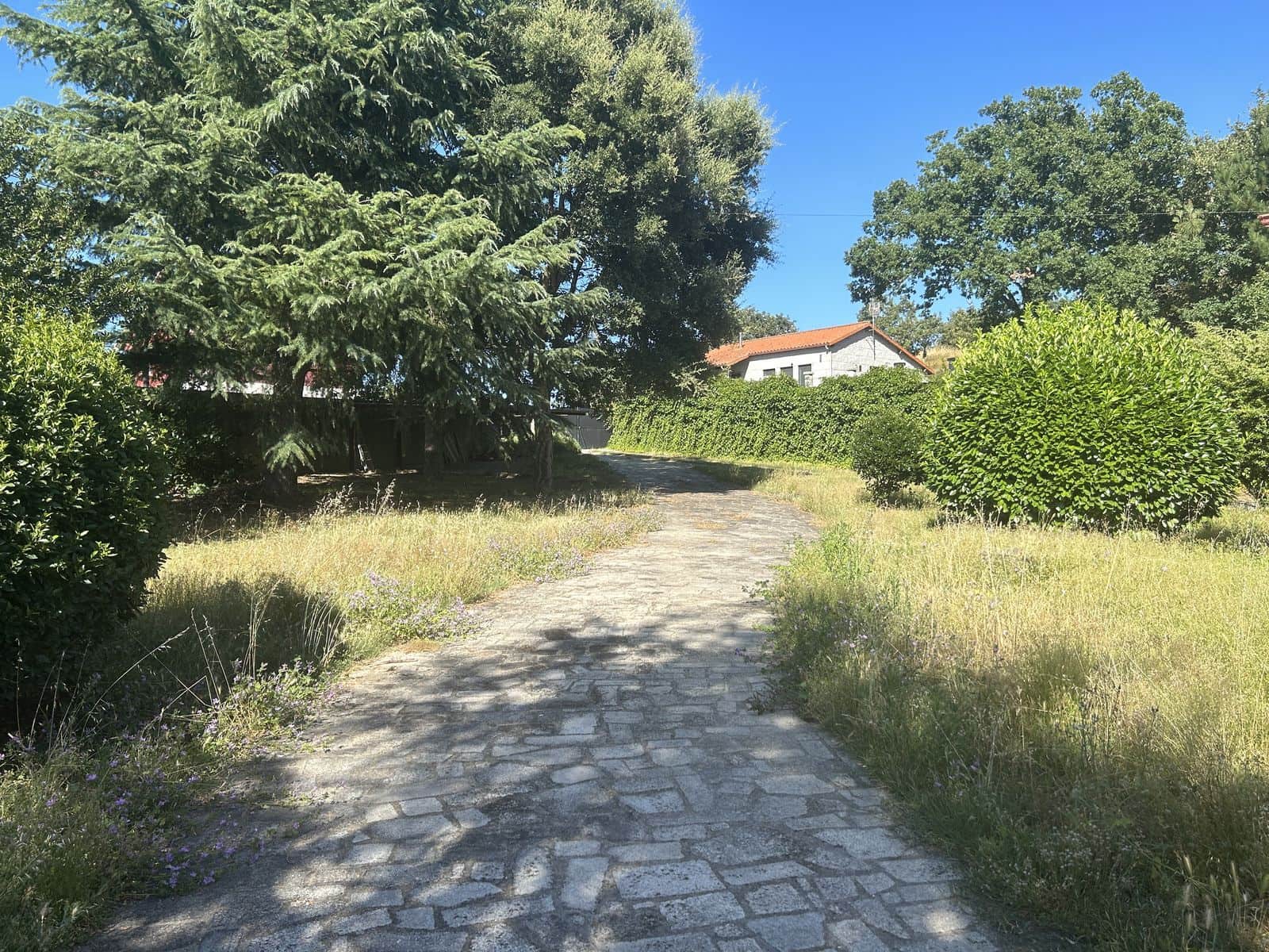 6 soveværelse Finca/Landehus til salg i Pereiro de Aguiar med swimmingpool garage - € 525.000 (Ref: 8462447)