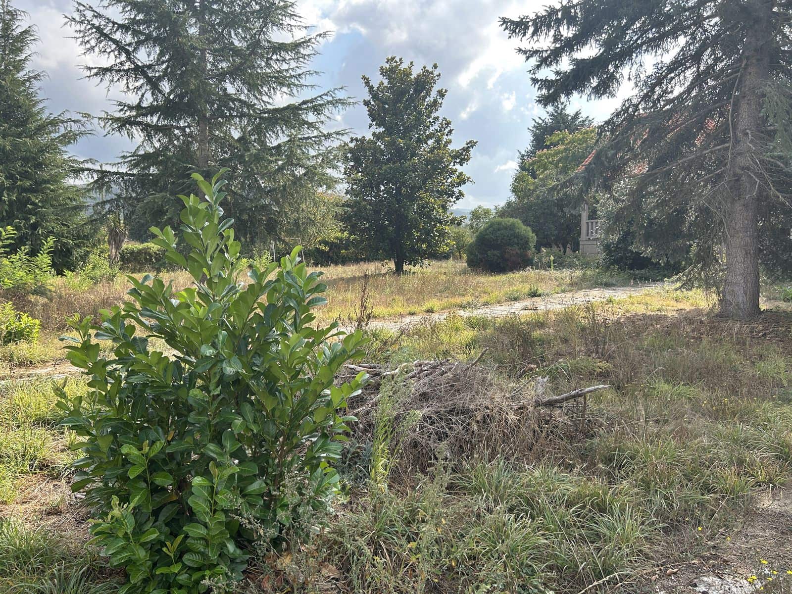 5 soveværelse Finca/Landehus til salg i Xinzo de Limia med swimmingpool garage - € 225.000 (Ref: 8543556)