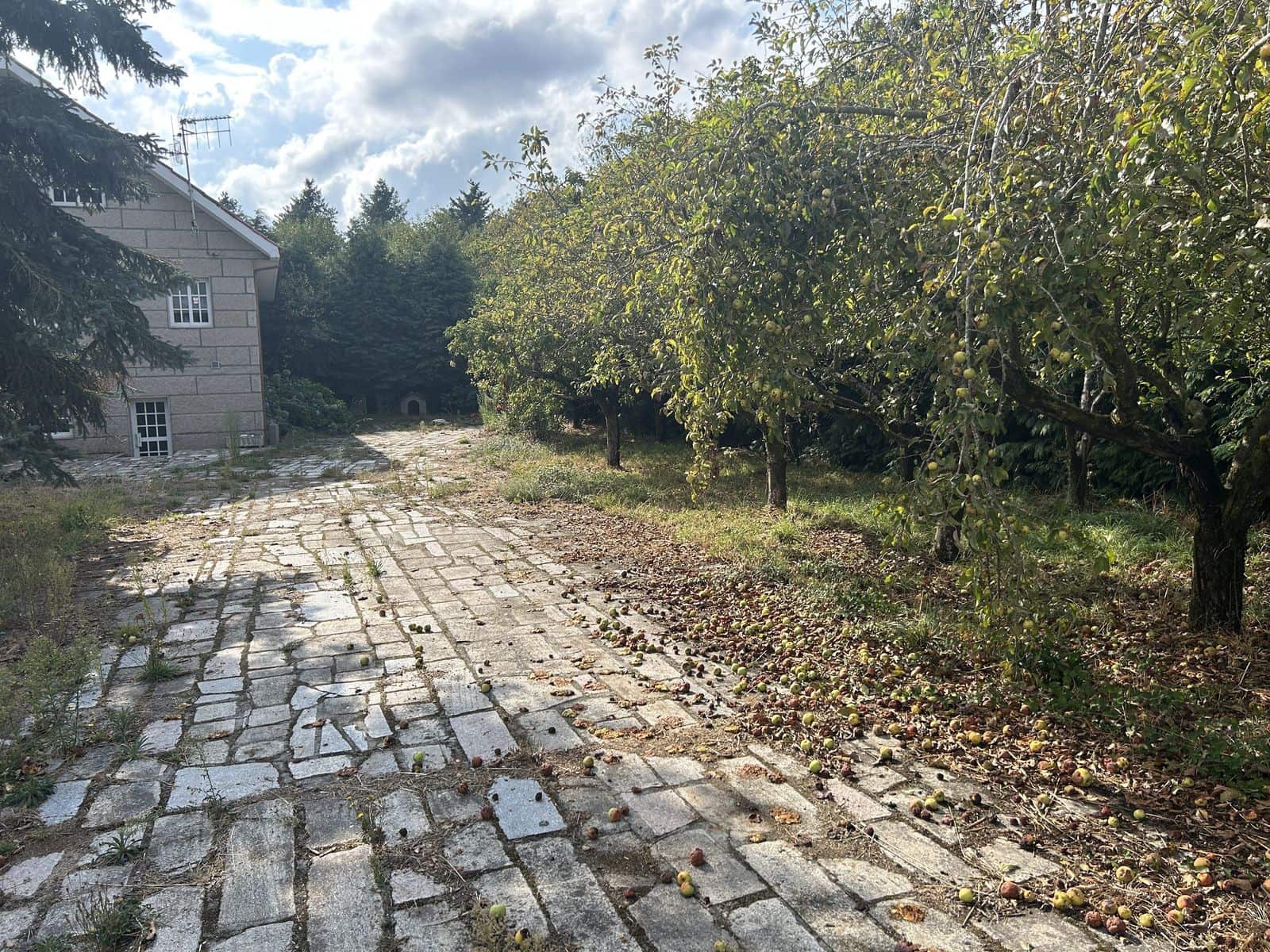 5 soveværelse Finca/Landehus til salg i Xinzo de Limia med swimmingpool garage - € 225.000 (Ref: 8543556)