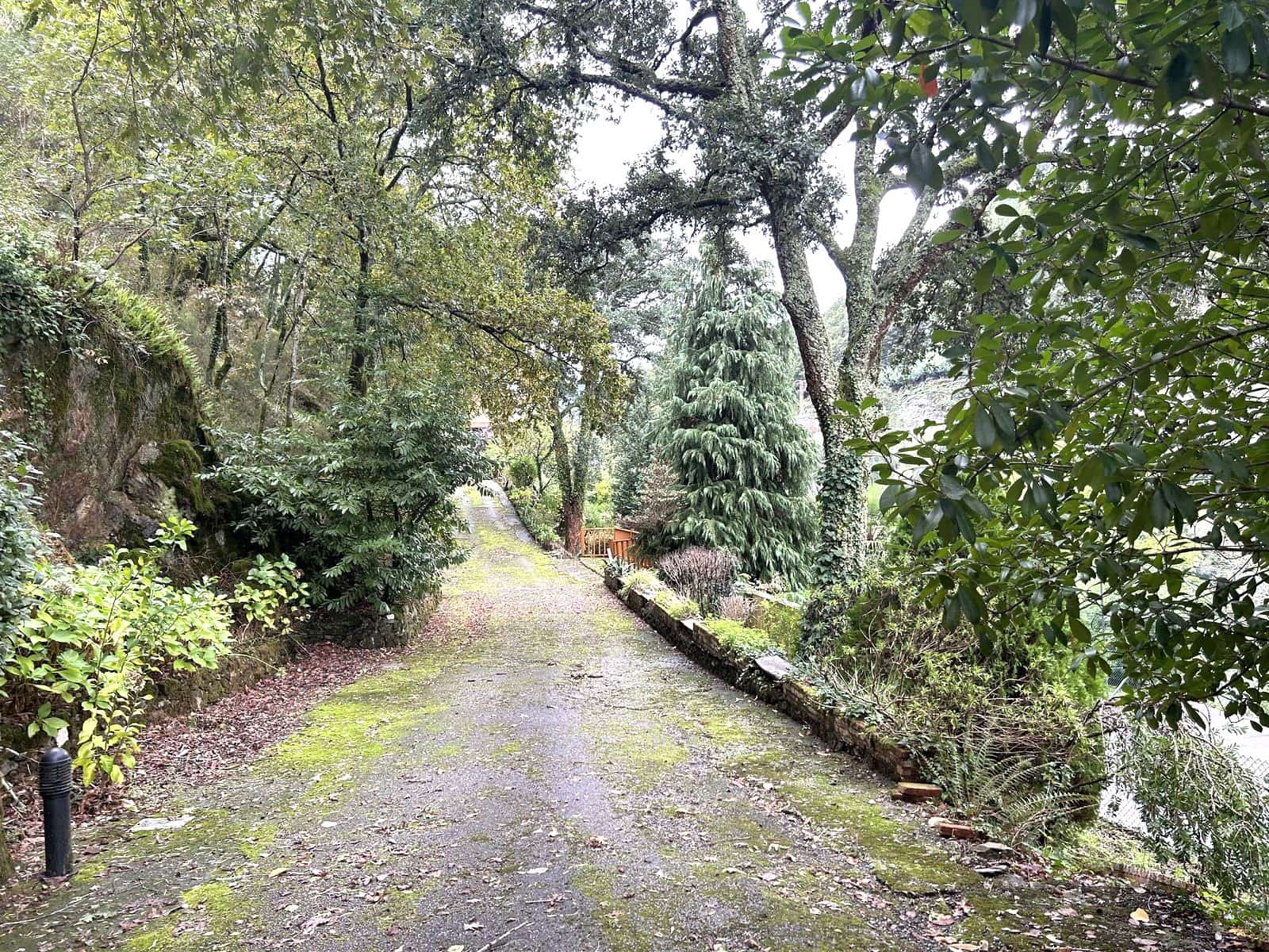 9 soveværelse Finca/Landehus til salg i Nogueira de Ramuin med swimmingpool - € 550.000 (Ref: 8575826)