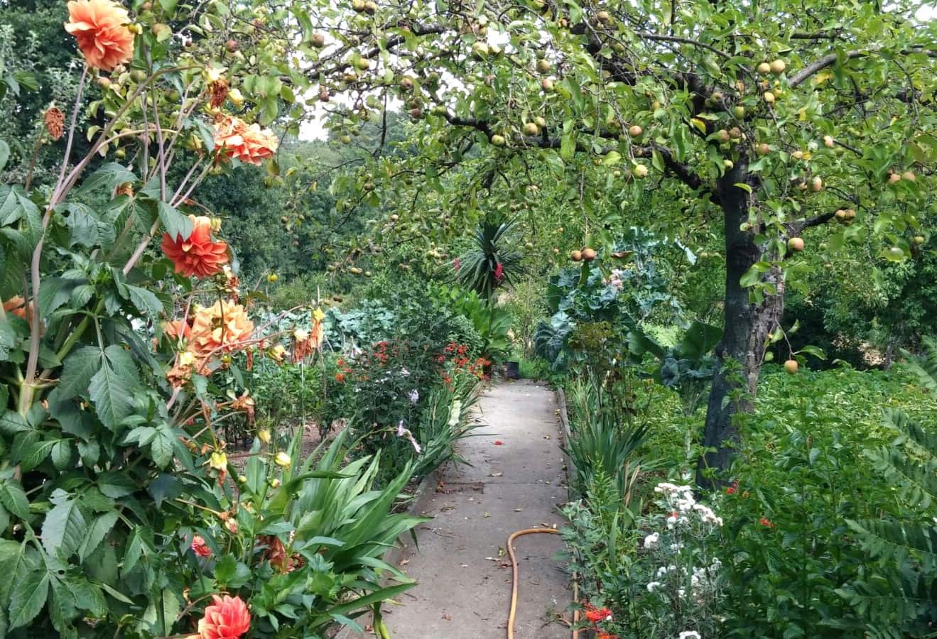 5 camera da letto Finca/Casa di Campagna in vendita in Carballedo con garage - 125.000 € (Rif: 8700218)