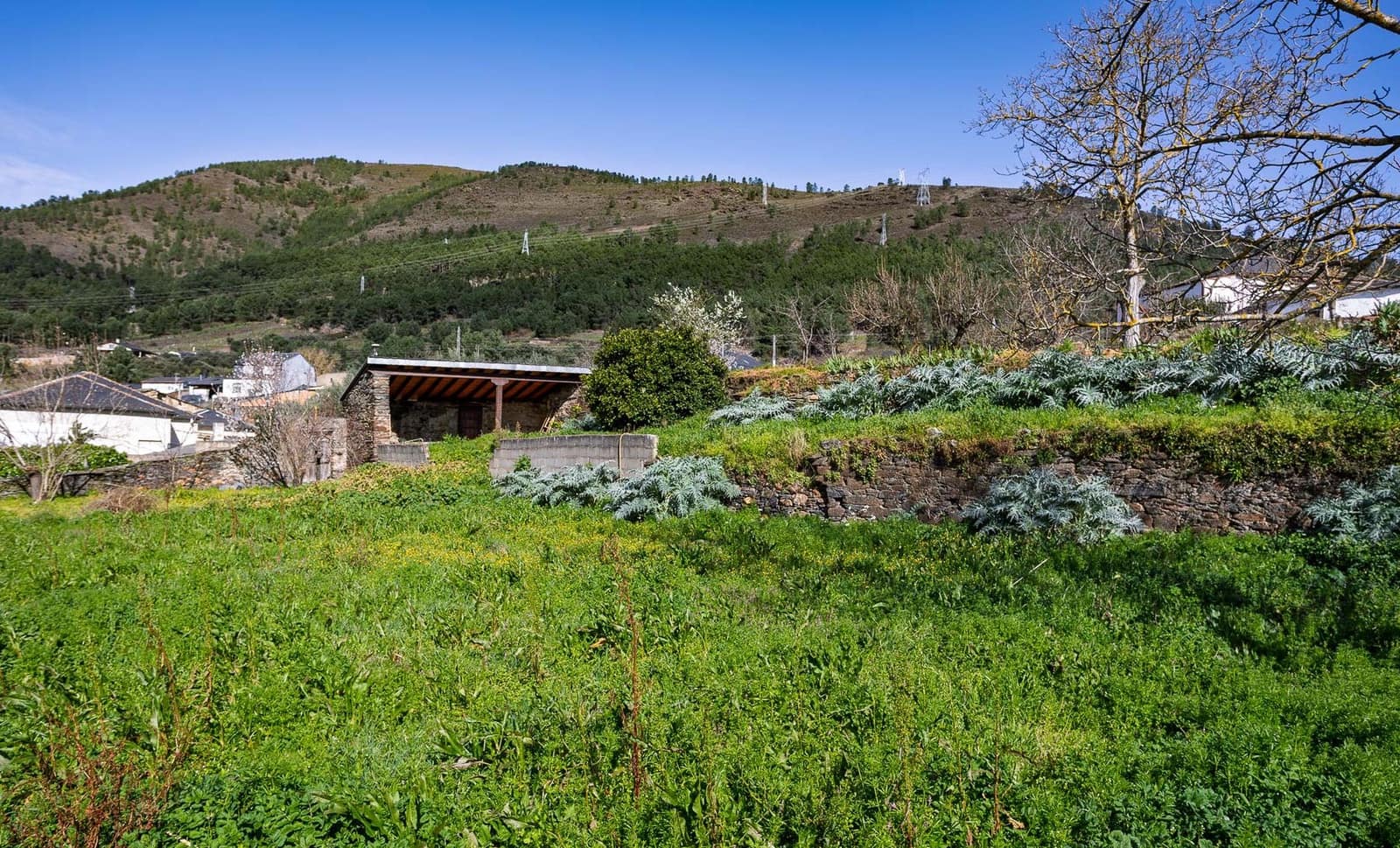 5 soveværelse Finca/Landehus til salg i A Rua - € 150.000 (Ref: 9016437)