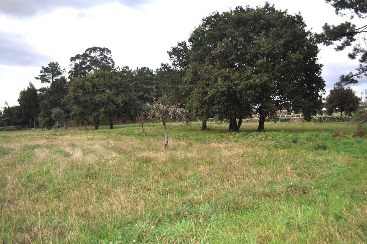 6 soverom Finca/Herregård til salgs i Vilagarcia de Arousa - € 525 000 (Ref: 9032107)