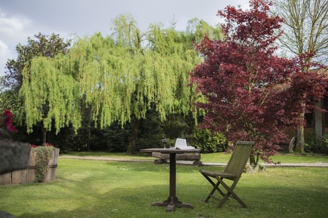 19 bedroom Guesthouse/B & B for sale in Chantada with pool garage - € 1,950,000 (Ref: 9123616)