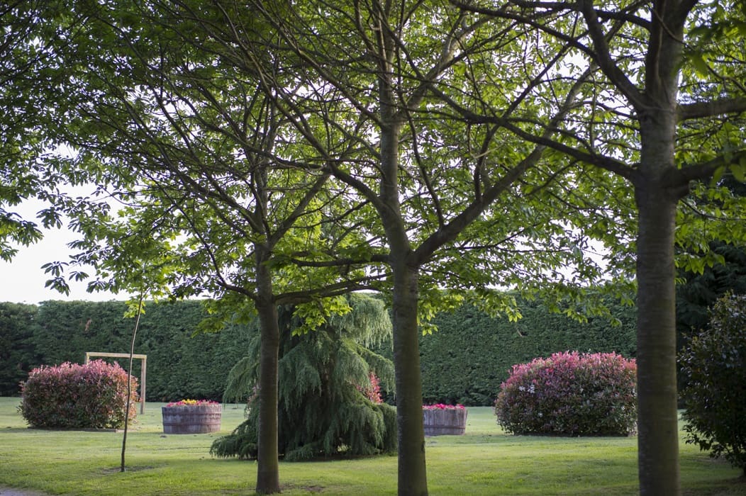 19 bedroom Guesthouse/B & B for sale in Chantada with pool garage - € 1,950,000 (Ref: 9123616)