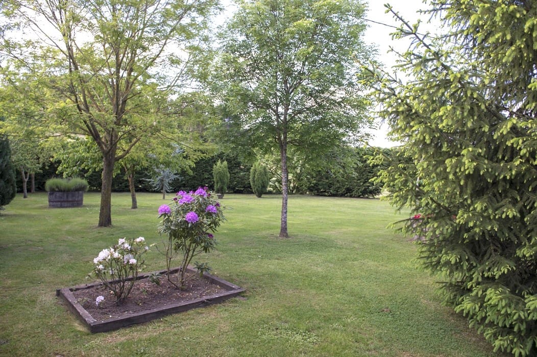 19 bedroom Guesthouse/B & B for sale in Chantada with pool garage - € 1,950,000 (Ref: 9123616)