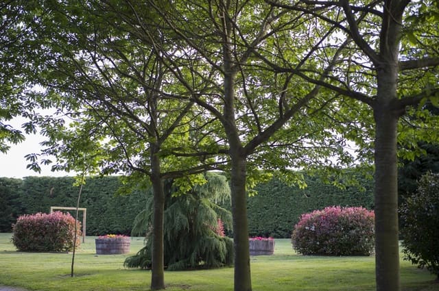 19 bedroom Guesthouse/B & B for sale in Chantada with pool garage - € 1,950,000 (Ref: 9123616)