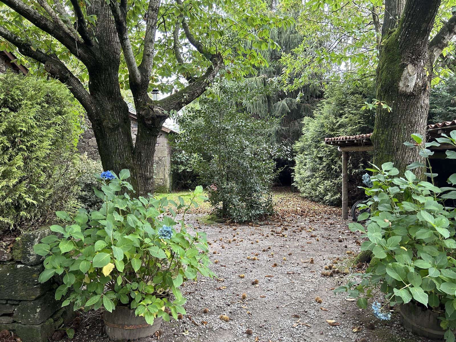 19 bedroom Guesthouse/B & B for sale in Chantada with pool garage - € 1,950,000 (Ref: 9123616)