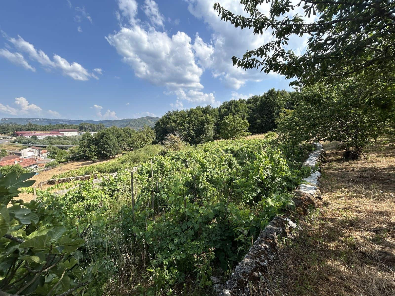 7 soveværelse Finca/Landehus til salg i Punxin - € 590.000 (Ref: 9132794)